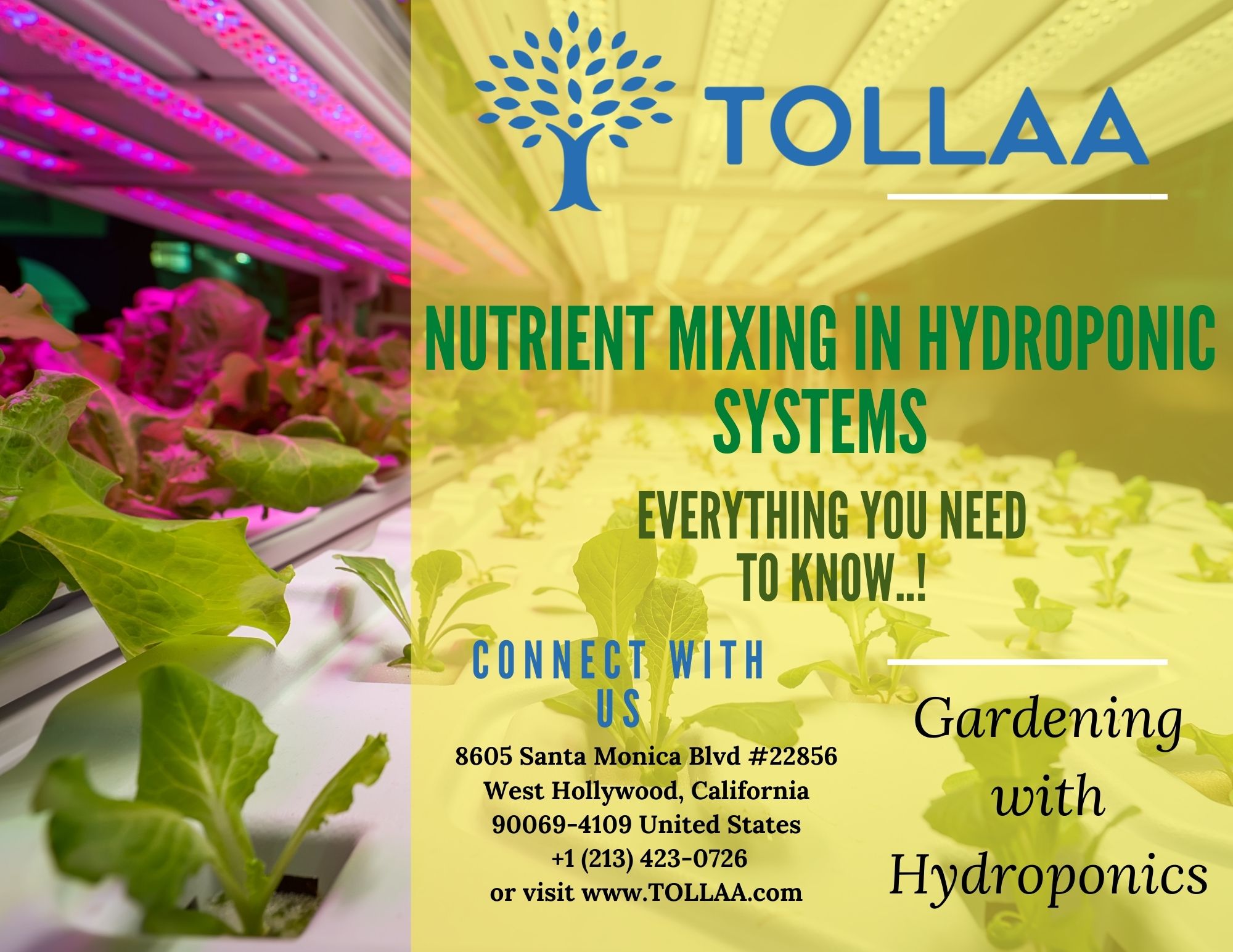 Nutrient Mixing In Hydroponic Systems | Everything You Need To Know