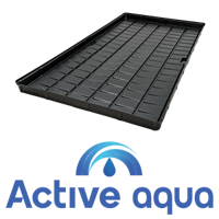 Active Aqua