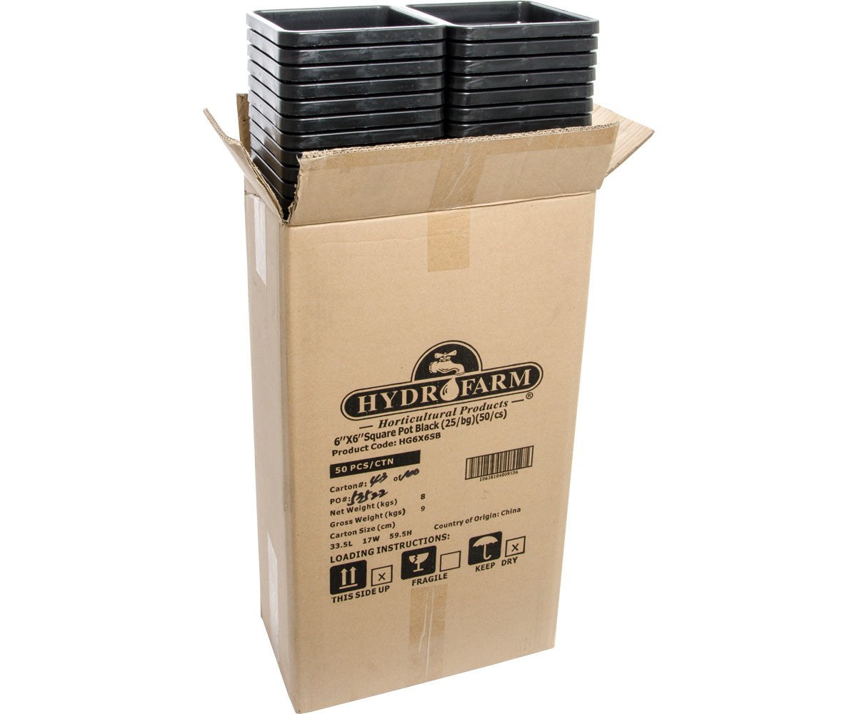 Active Aqua 6"x6" Square Black Pot, 8" Tall, 50 per case