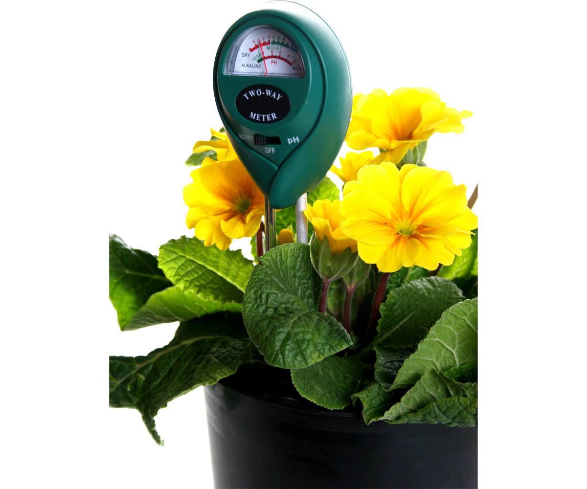 Active Air 2-Way pH & Moisture Meter