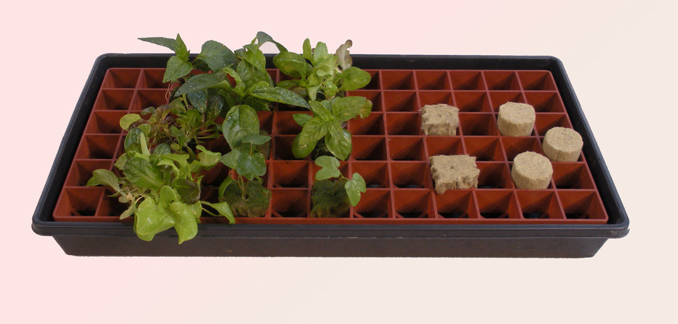 Grodan Gro-Smart Tray 78 cell (5/cs) Terracotta
