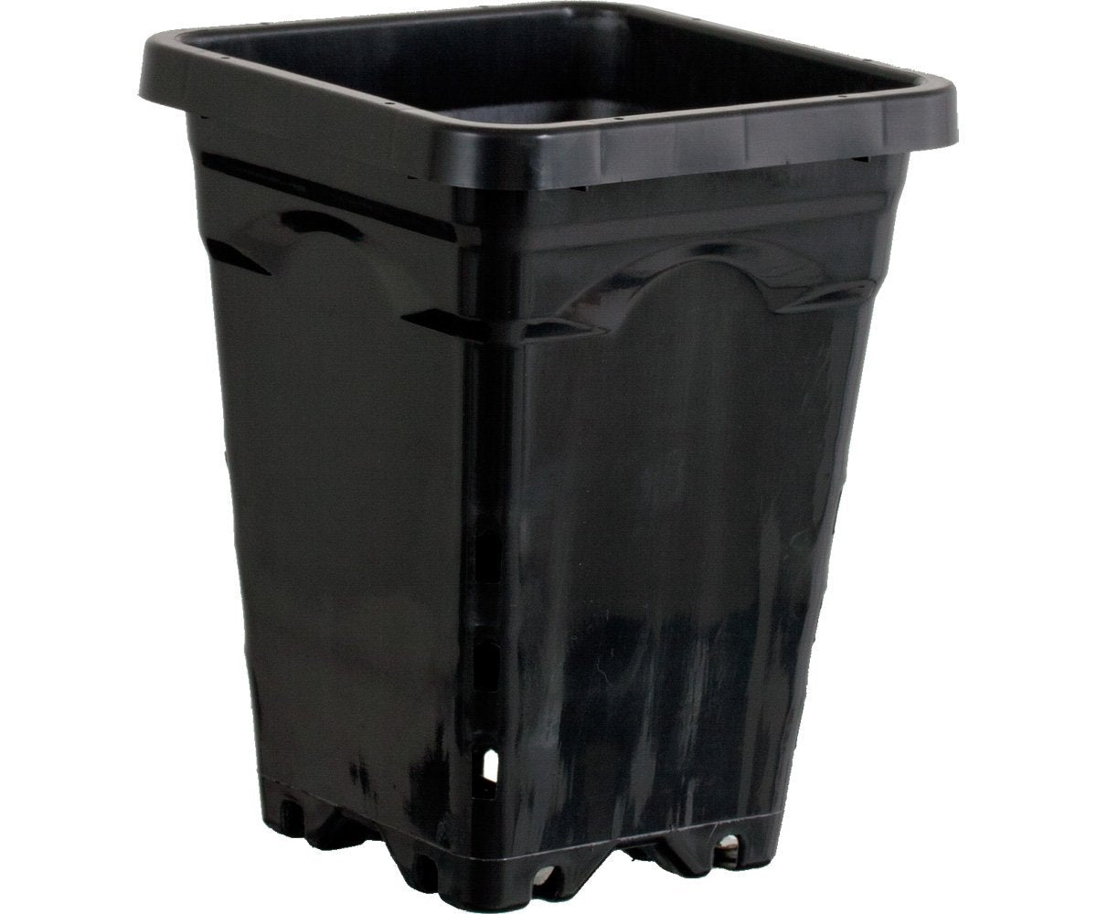 Active Aqua 5"x5" Square Black Pot 7" Tall, 100 per case