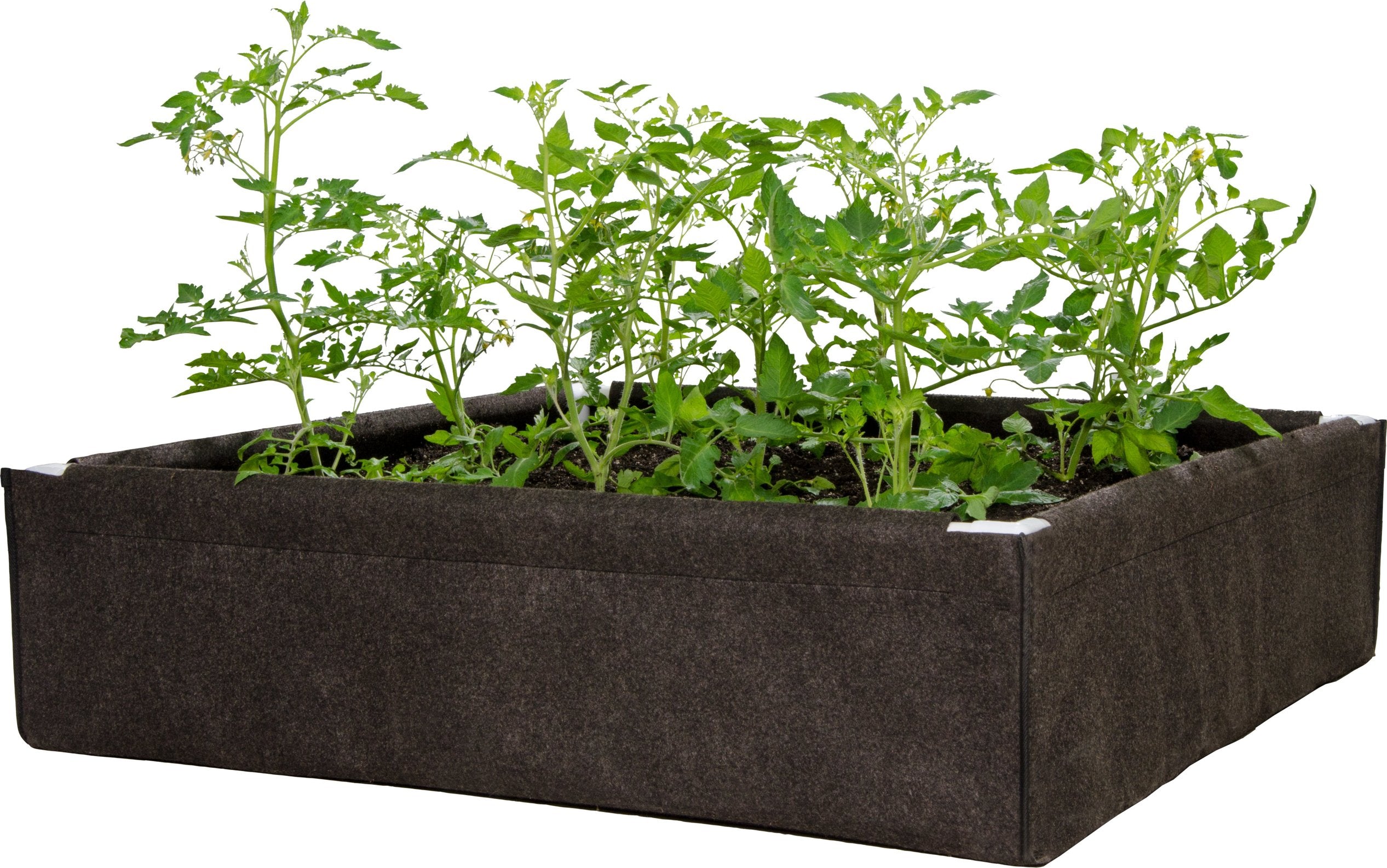Dirt Pot Dirt Pot Box, 2' x 4' Raised Bed