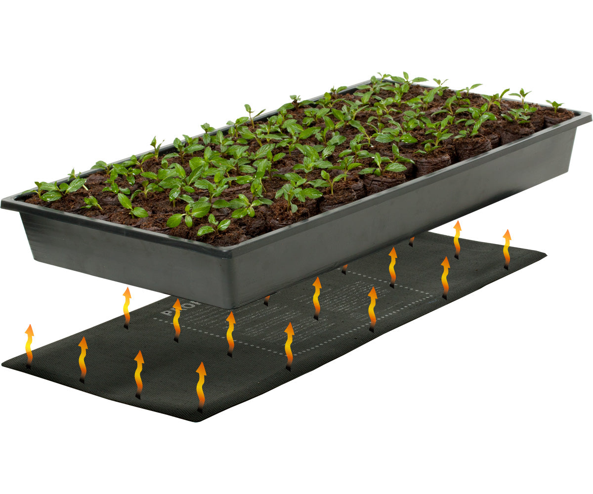 Jump Start Germination Station