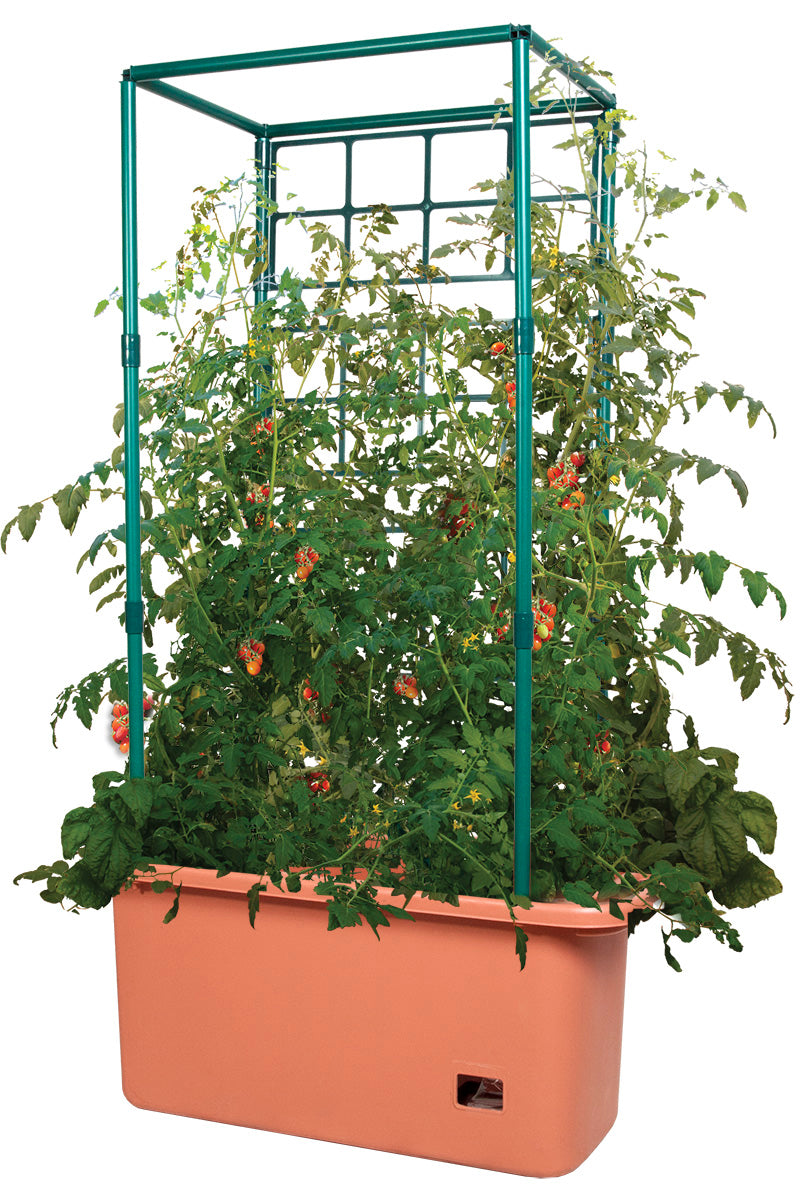 Hydrofarm Tomato Trellis