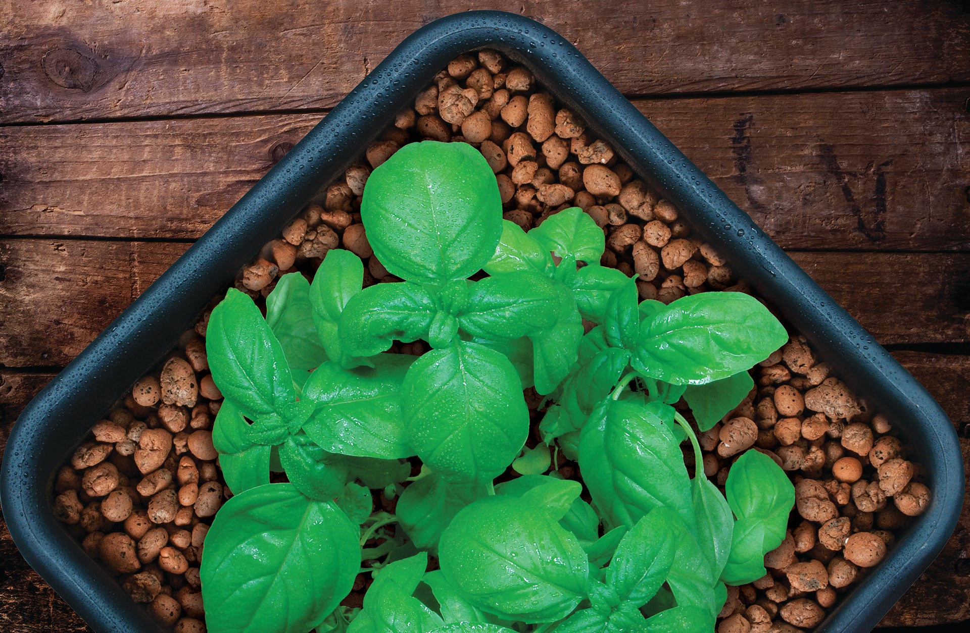 GROW!T Clay Pebbles, 10 L