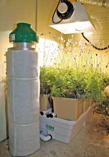 Phat Phat Filter 39"x10", 1400 CFM