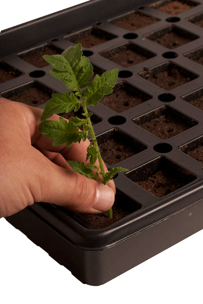 Jump Start AccelaROOT 50-Cell Tray