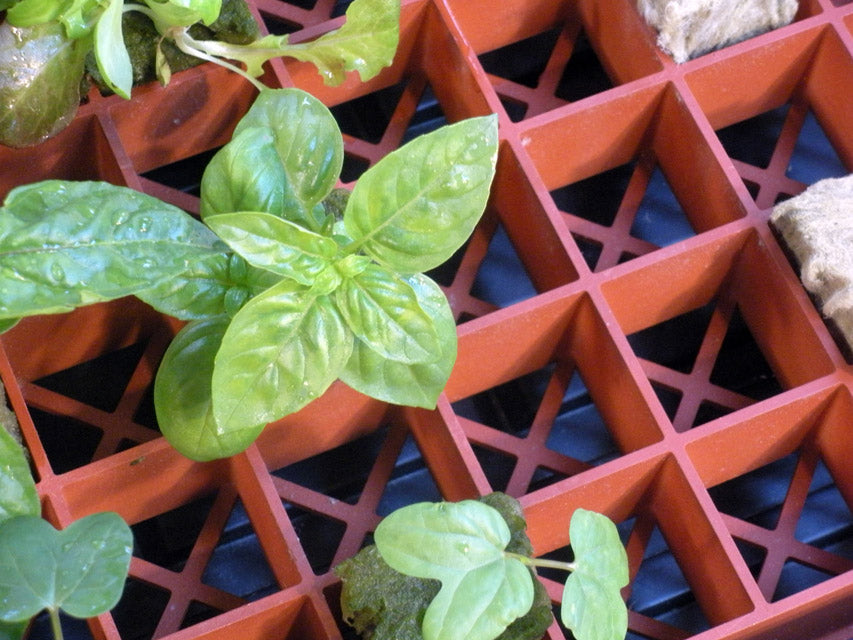 Grodan Gro-Smart Tray 78 cell (5/cs) Terracotta