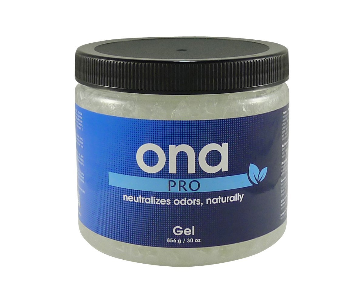 Ona Products Ona Pro Gel Qt