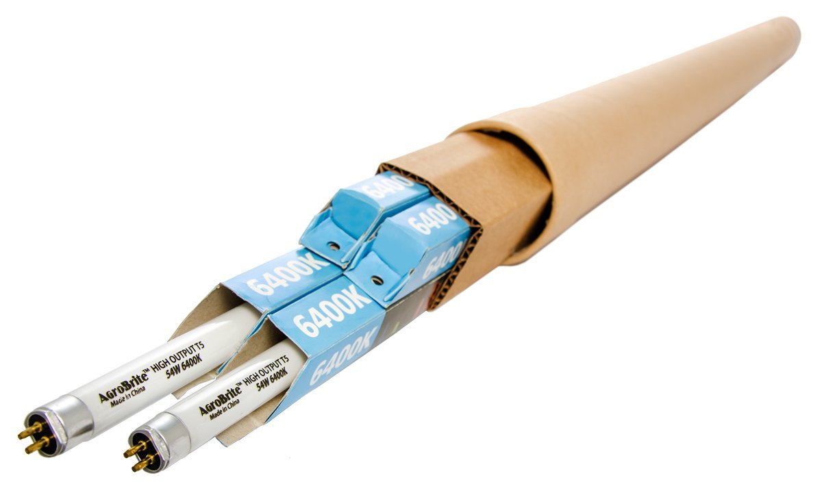 AgroBrite T5 4' 6400K Bulb (case of 4)