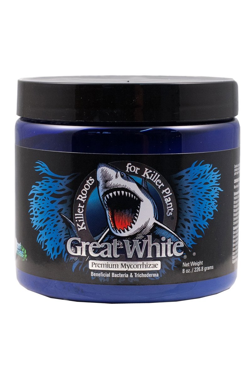 Plant Success / Great White Great White 8 oz.