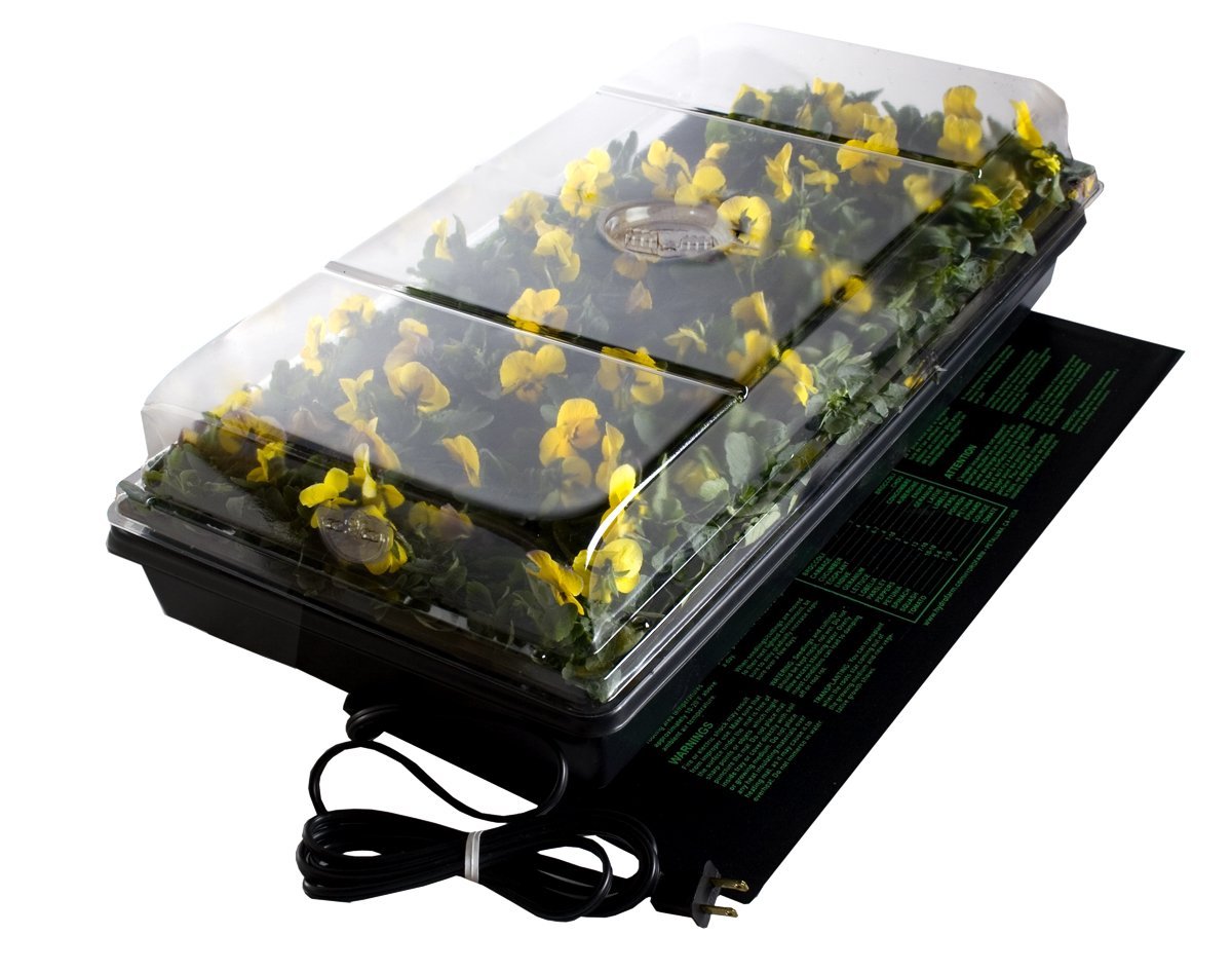Jump Start Germination Station