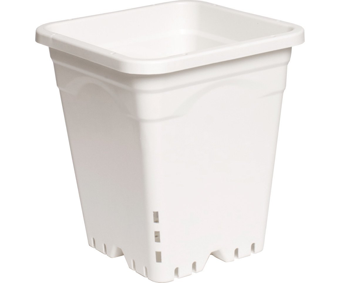 Active Aqua 9"x9" Square White Pot, 10" Tall, 24 per case
