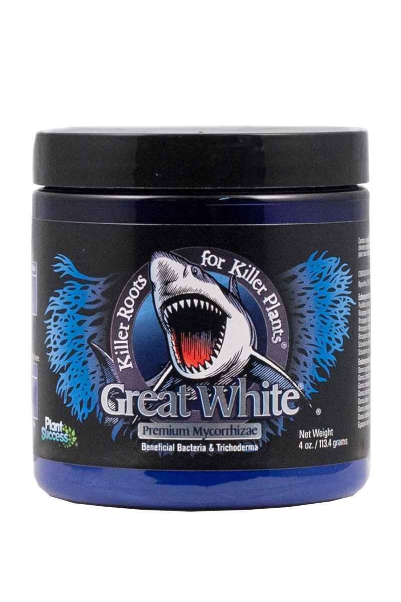 Plant Success / Great White Great White 4 oz.