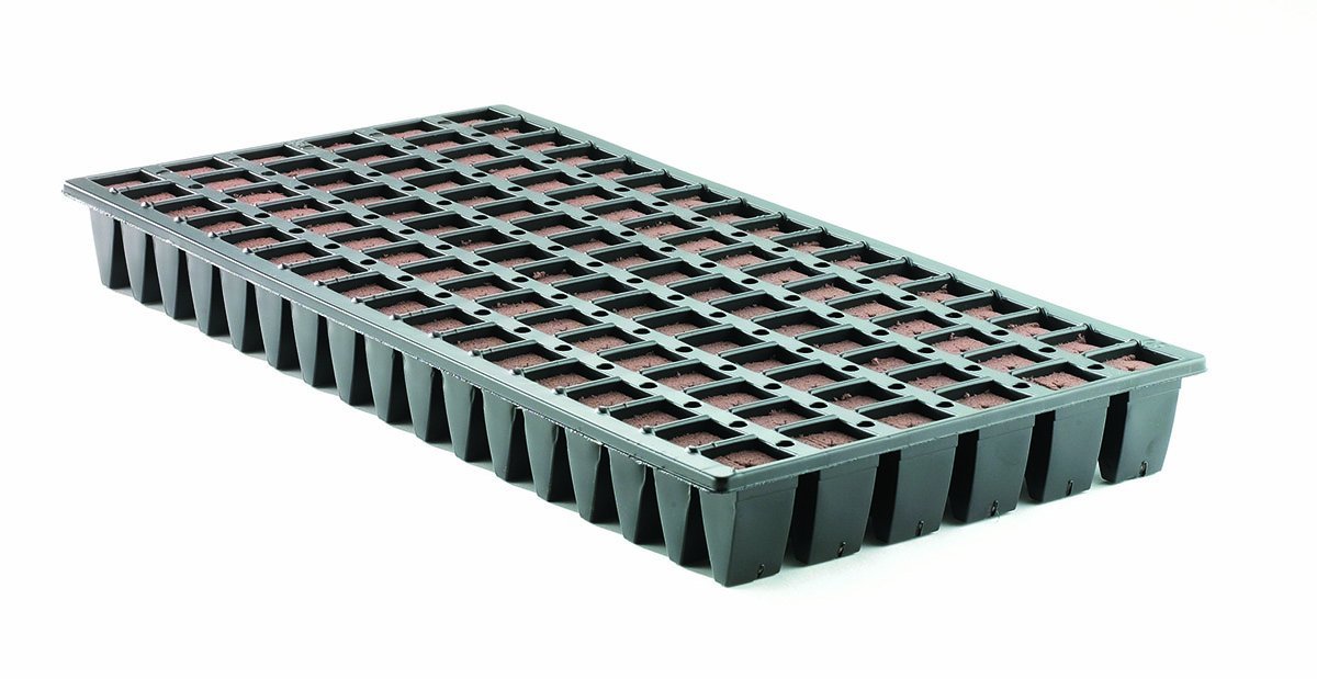 Oasis Oasis 102 count Tray & Medium (10/case)