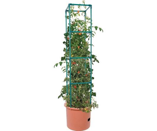 Hydroponics